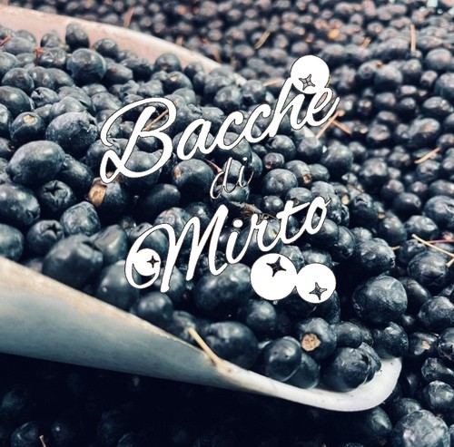 Preordine bacche di mirto - preordine,